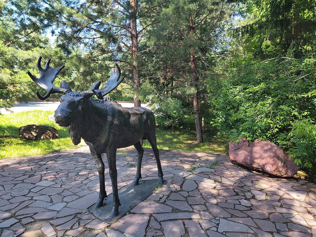 Фото из отзыва от 01.07.2025