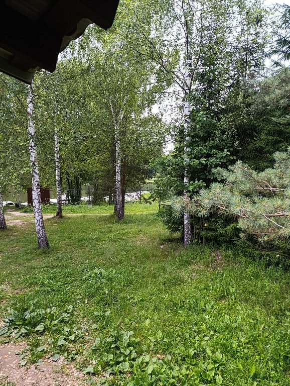 Фото из отзыва от 07.07.2025