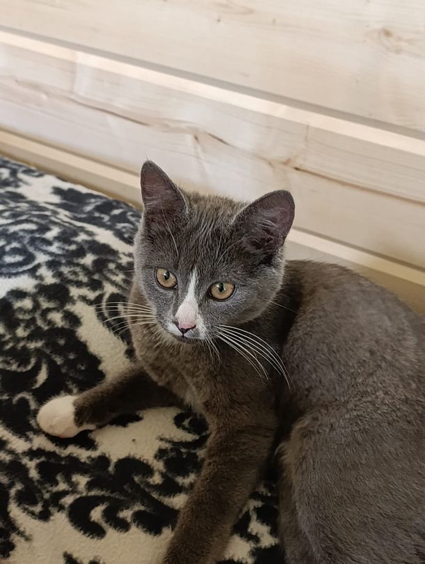 Фото 2 из отзыва о доме в аренду Колпино