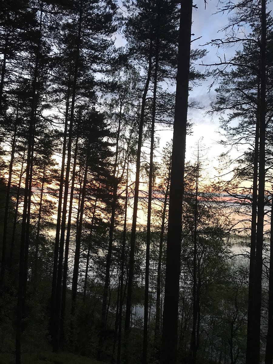 Фото 6 из отзыва о парк-отеле Сямозерье