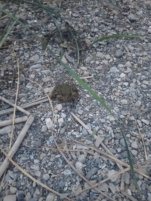 Фото из отзыва от 12.07.2025