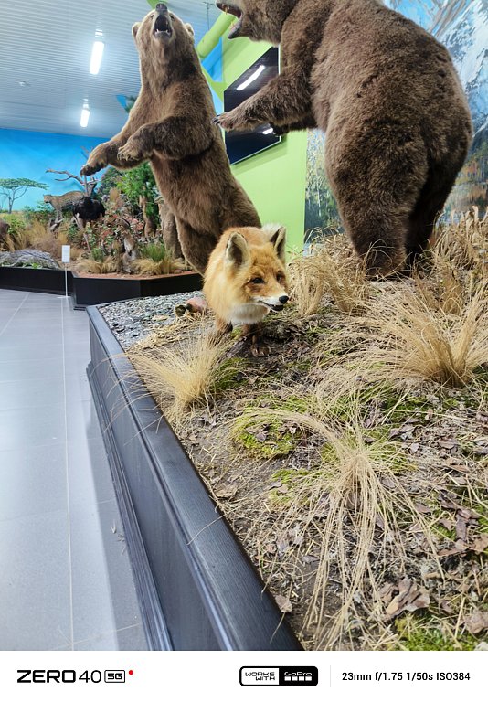 Фото из отзыва от 11.07.2025