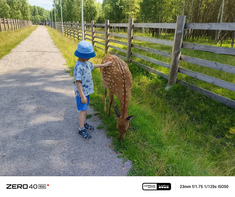 Фото из отзыва от 11.07.2025