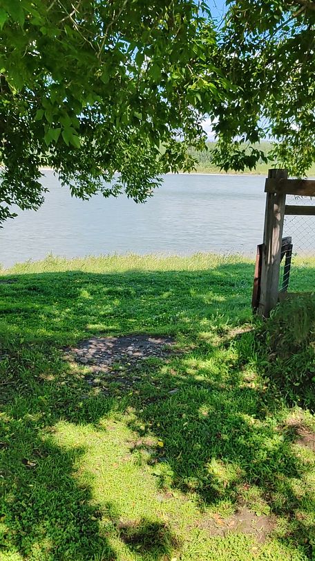 Фото 5 из отзыва о базе отдыха Три клена