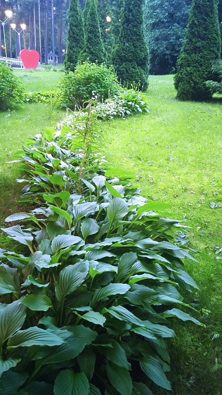 Фото 3 из отзыва о санатории Балтийский берег