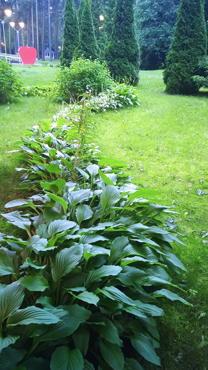 Фото 7 из отзыва о санатории Балтийский берег