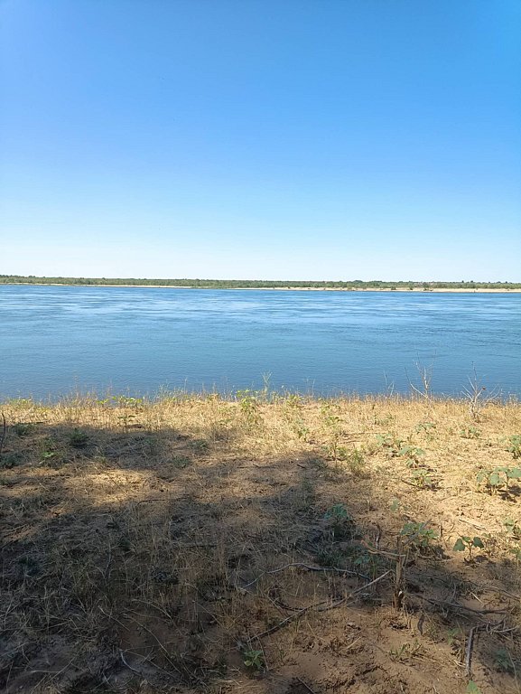 Фото из отзыва от 07.07.2025