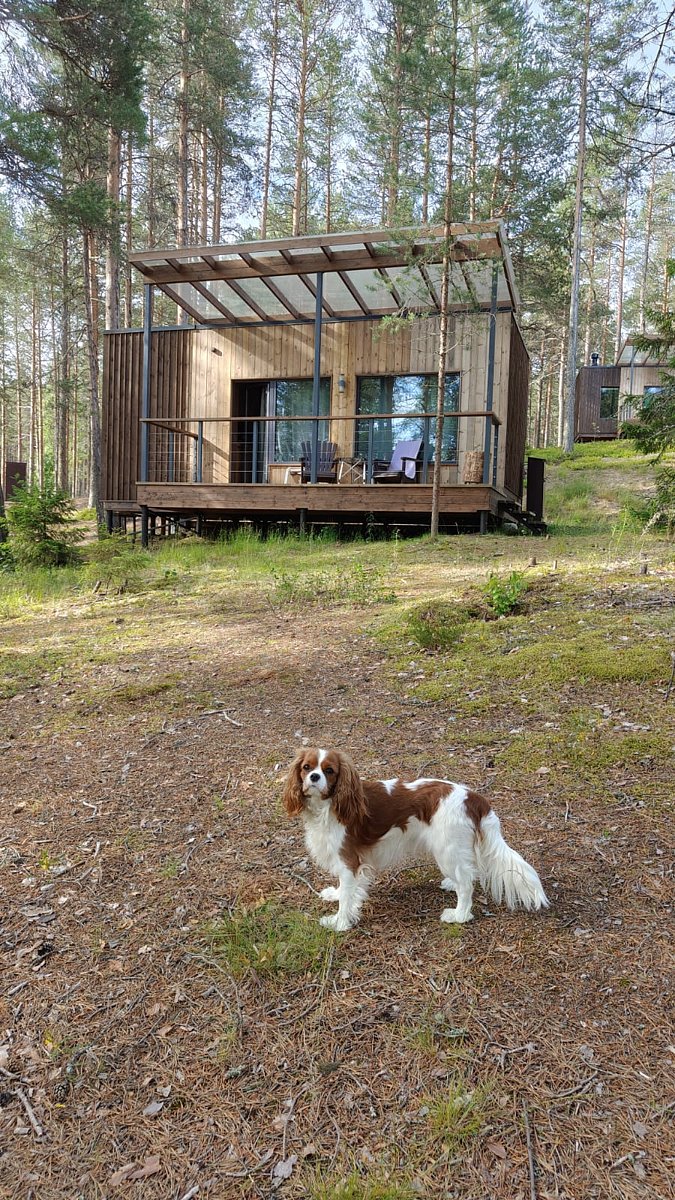 Фото 3 из отзыва о парк-отеле Сямозерье