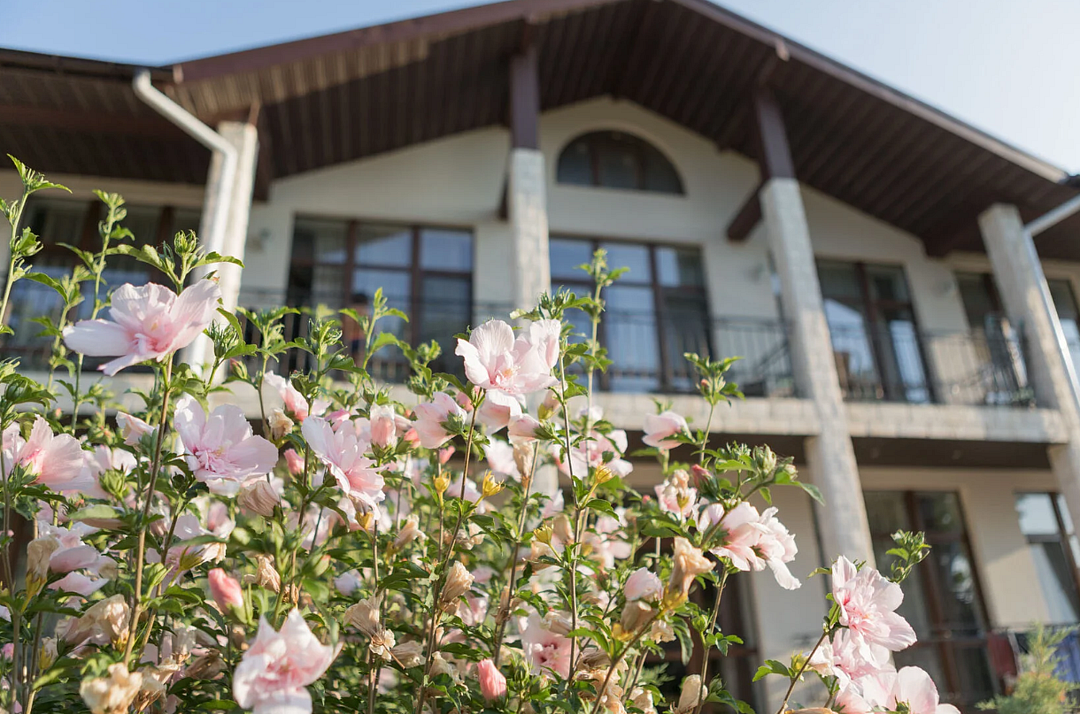 Шато Блан, Крым: фото 4