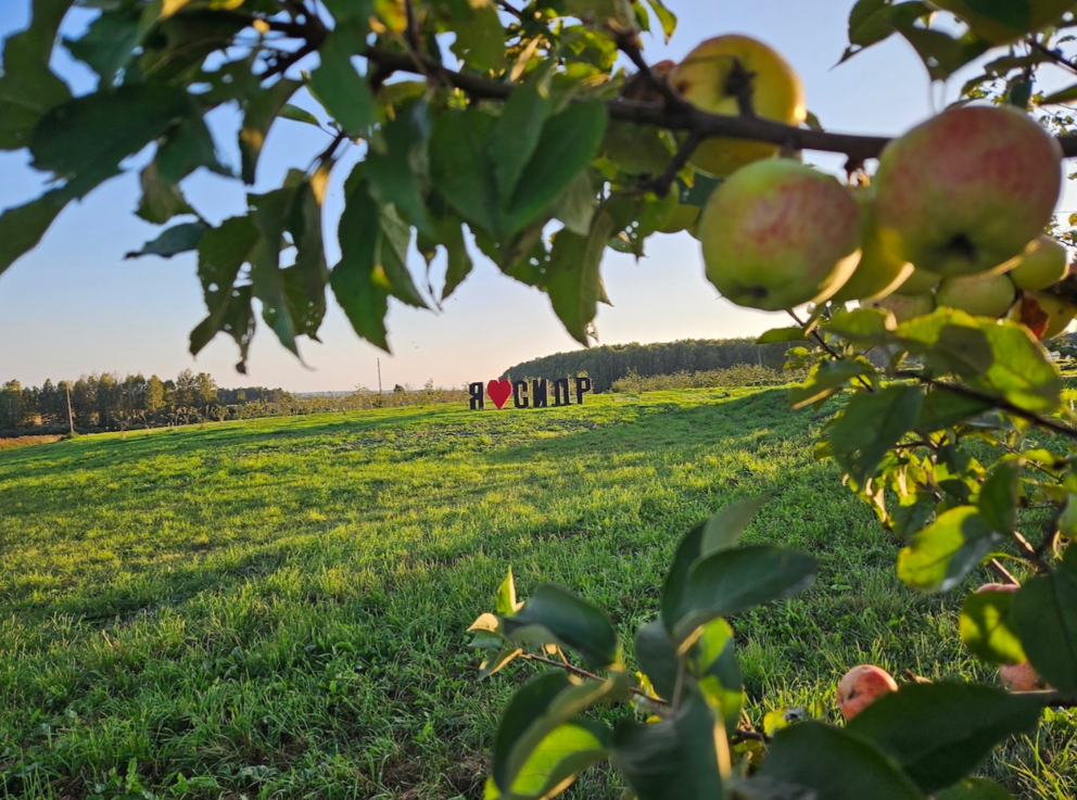 Аблъко Resort, Калужская область: фото 5