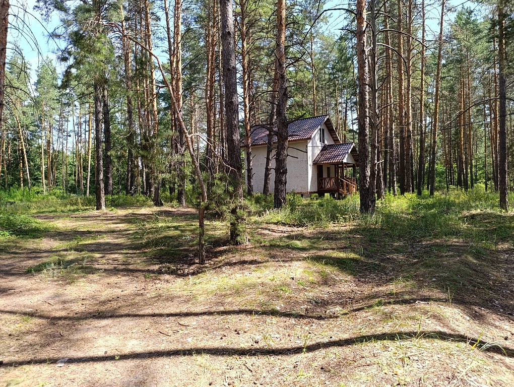 Фото из отзыва от 12.07.2025