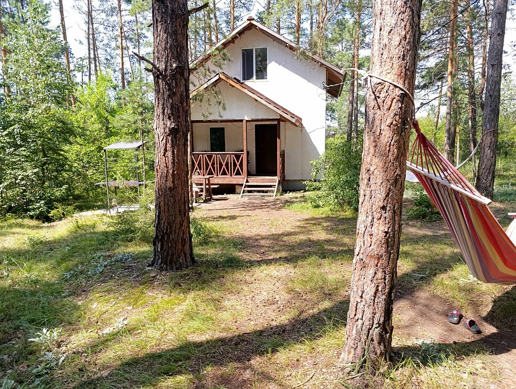 Фото из отзыва от 12.07.2025