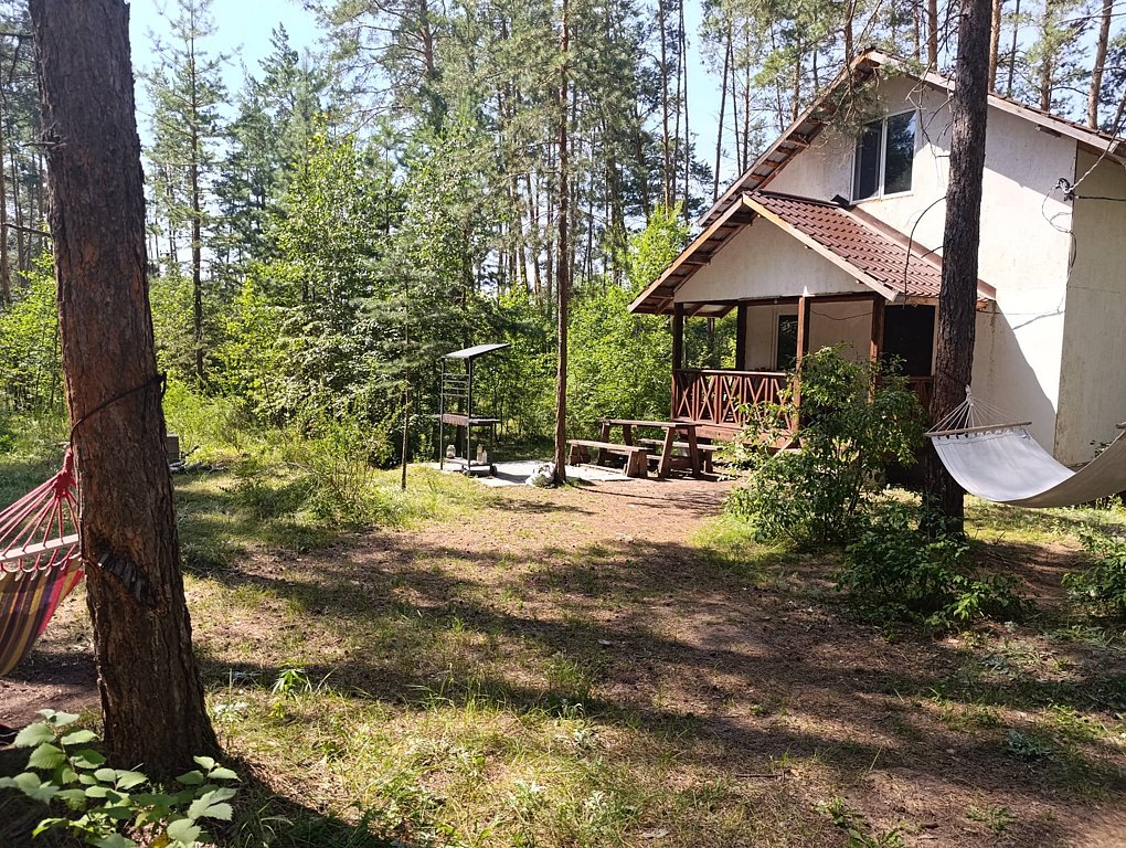 Фото из отзыва от 12.07.2025