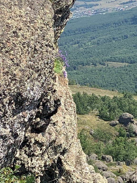 Фото из отзыва от 17.07.2025