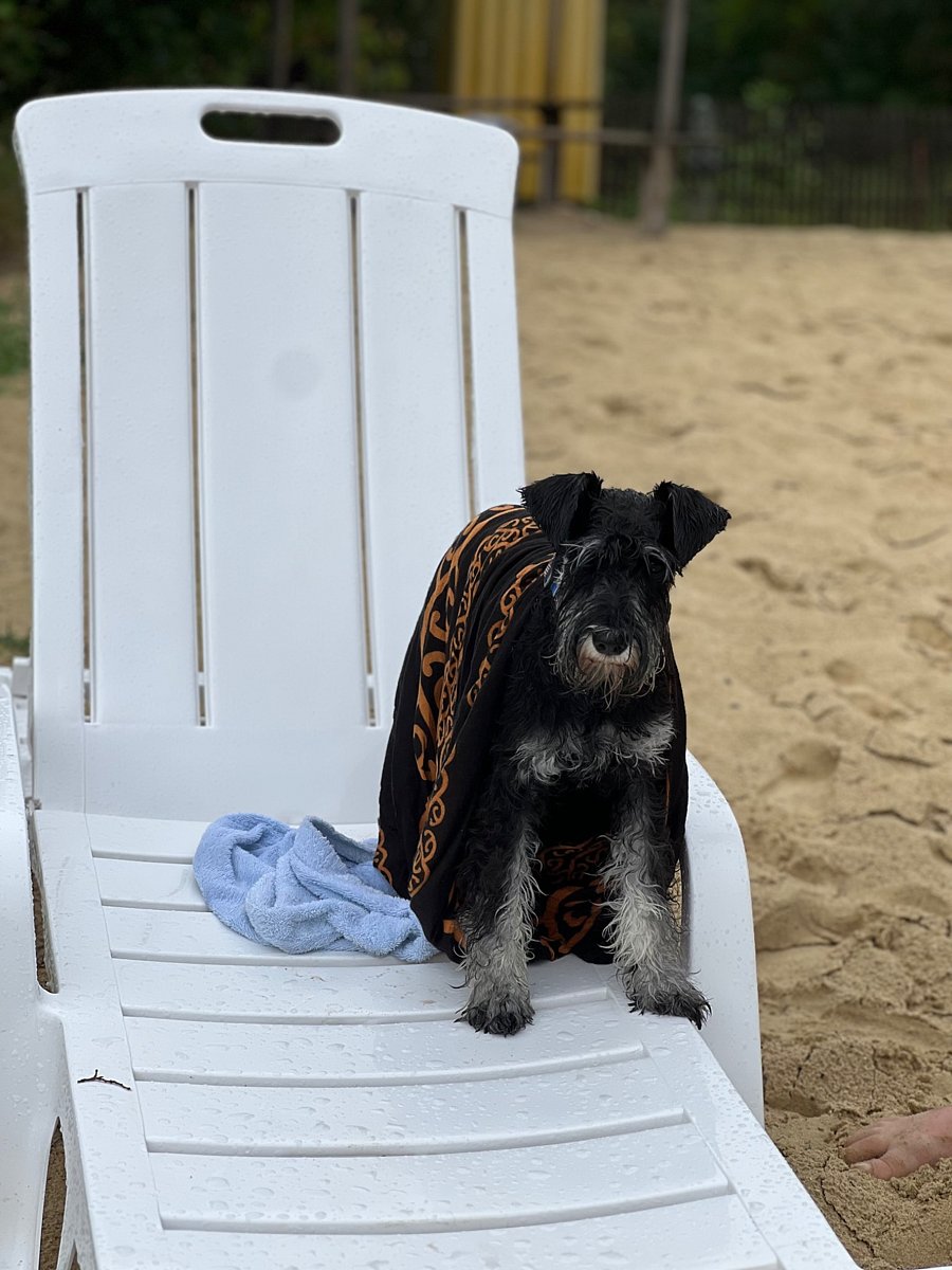 Фото 15 из отзыва о базе отдыха Дружба