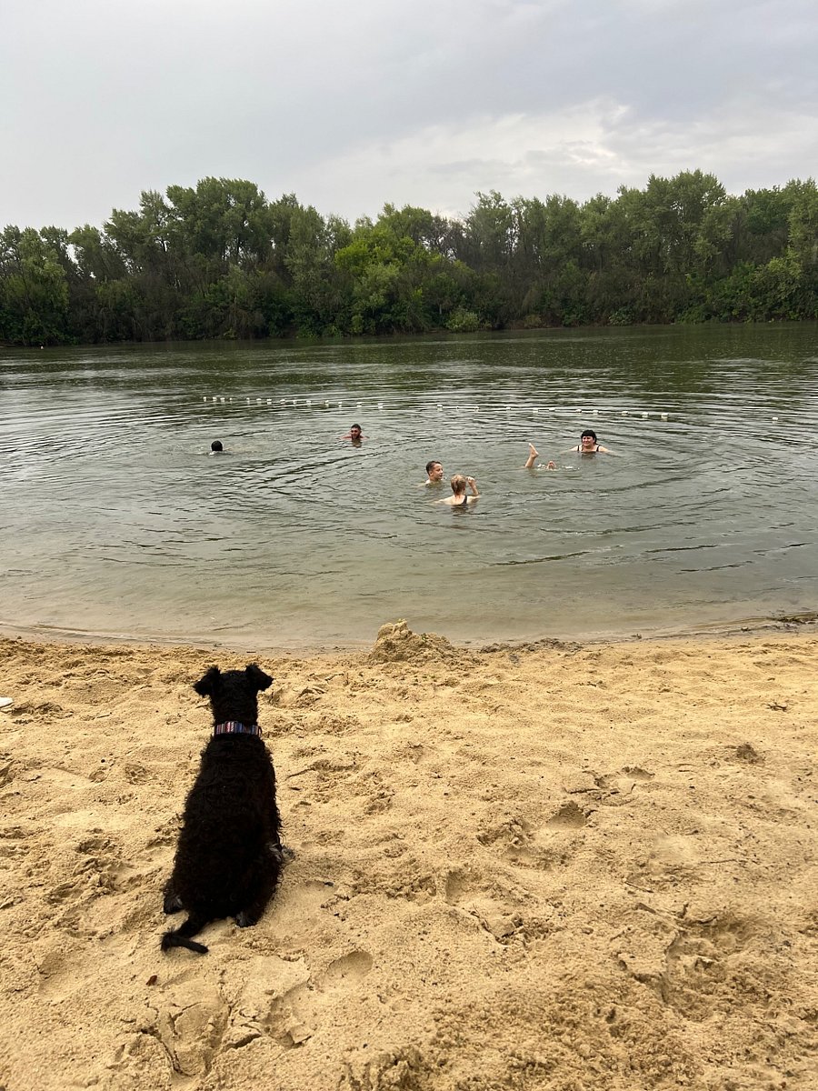 Фото 18 из отзыва о базе отдыха Дружба