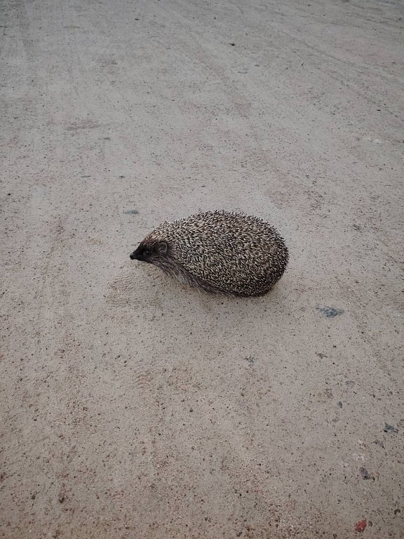 Фото из отзыва от 16.07.2025