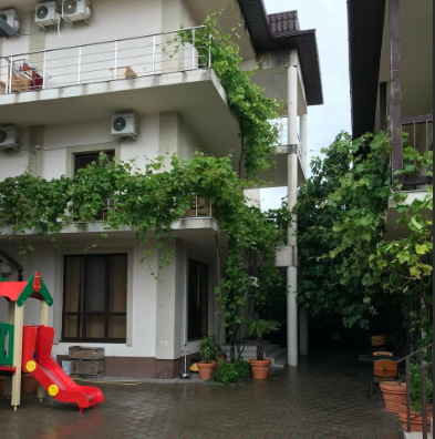 Виноград (Кабардинка), Краснодарский край: фото 4