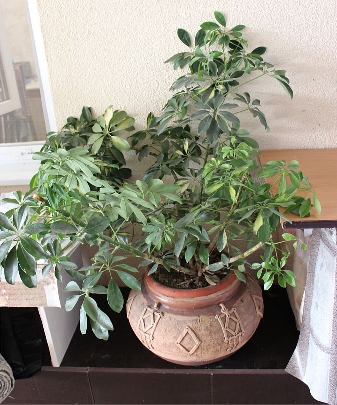 Территория | Эдем (Адлер), Краснодарский край