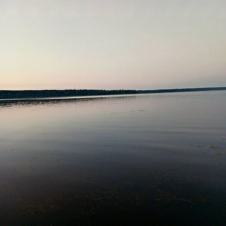 Фото из отзыва от 14.07.2025