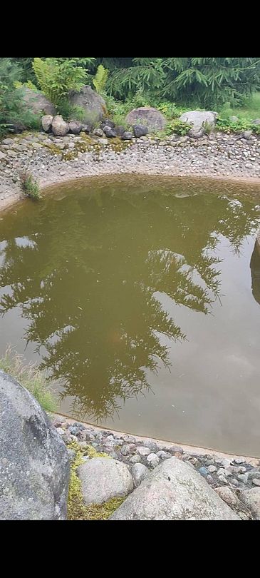 Фото 2 из отзыва о коттеджном комплексе Светозар