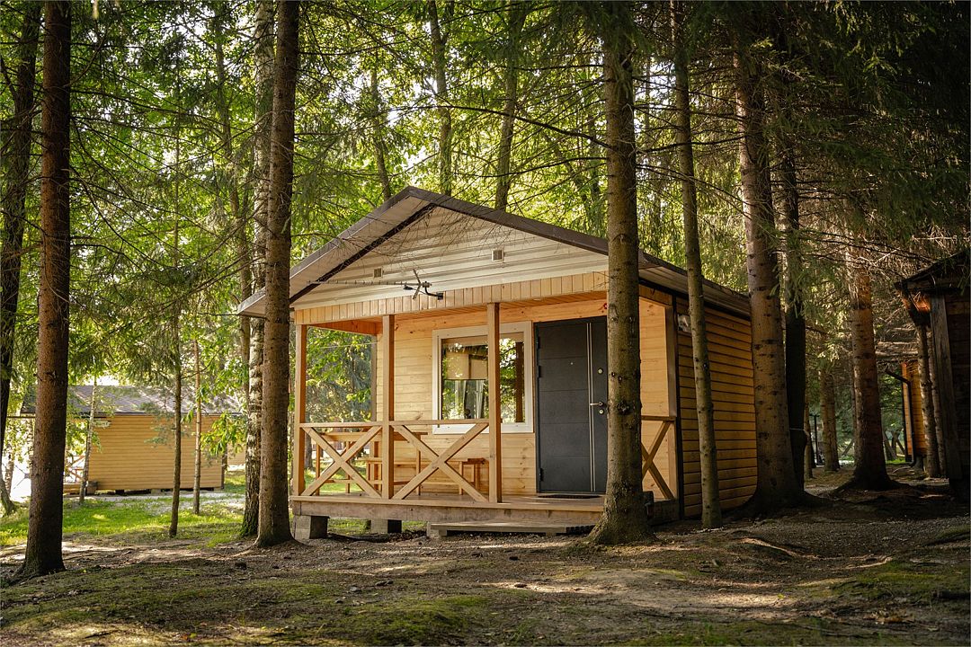 Лесовичок, Алтайский край: фото 4