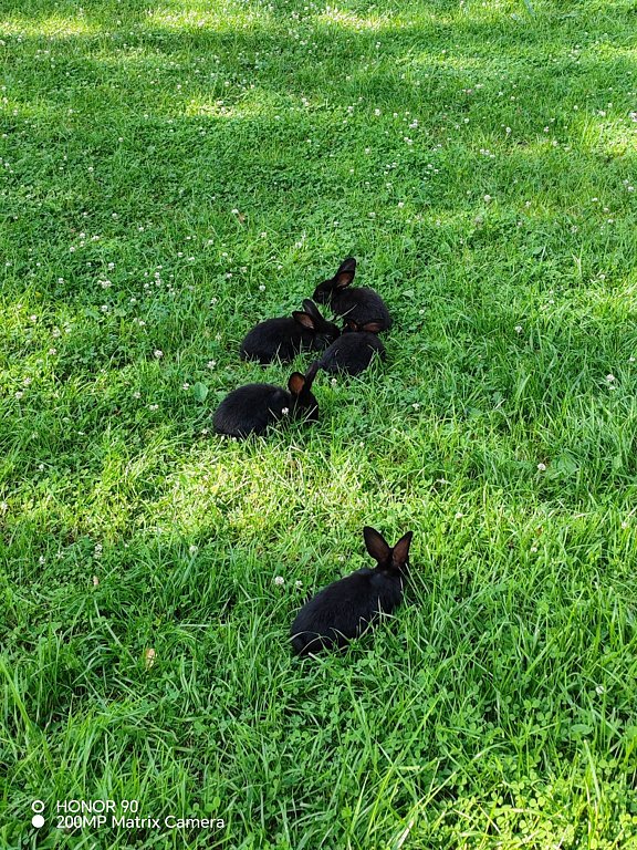 Фото из отзыва от 18.07.2025