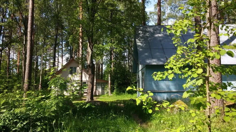 База отдыха Холодный ручей, Холодный ручей, Ленинградская область
