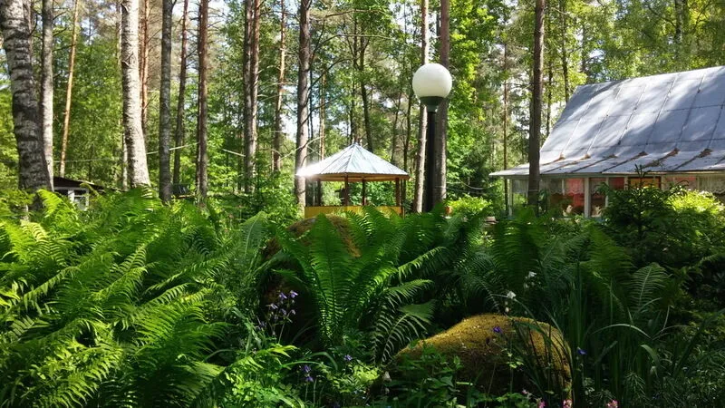 Холодный ручей, Ленинградская область: фото 2