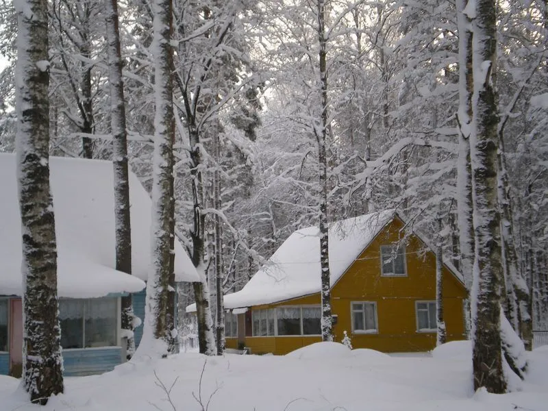 Холодный ручей, Ленинградская область: фото 5