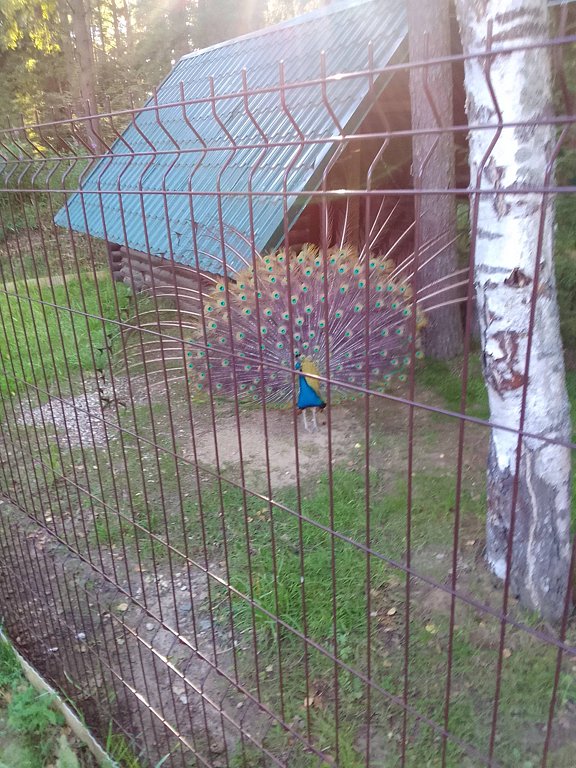 Фото из отзыва от 15.07.2025