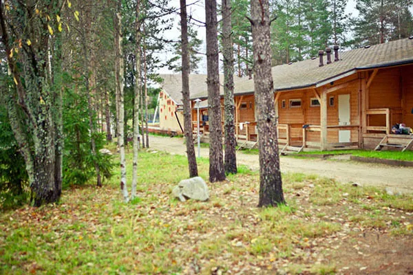 Trava, Ленинградская область: фото 3