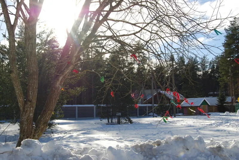 Trava, Ленинградская область: фото 5