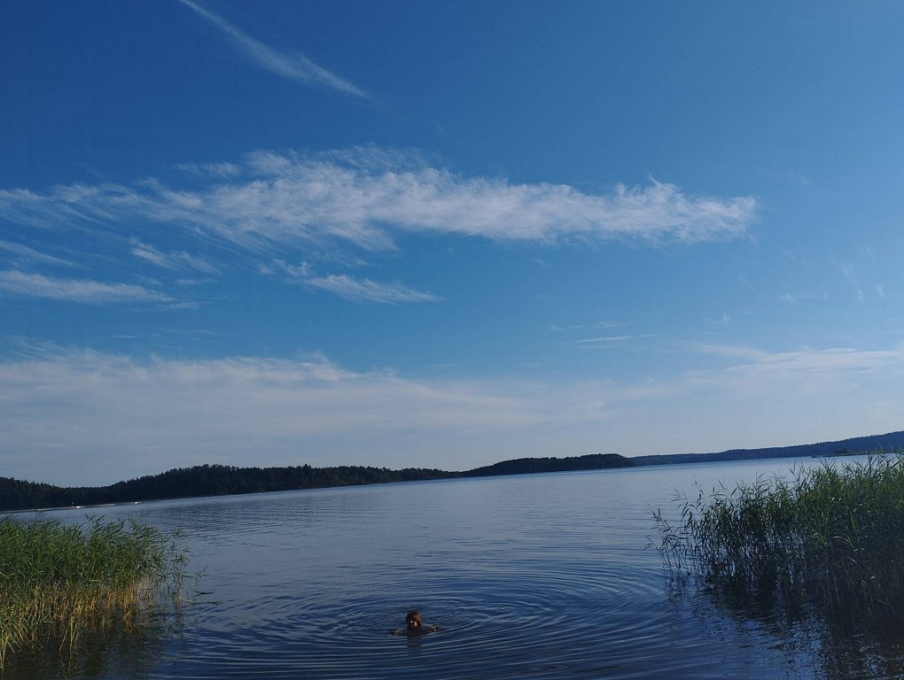 Фото из отзыва от 23.07.2025