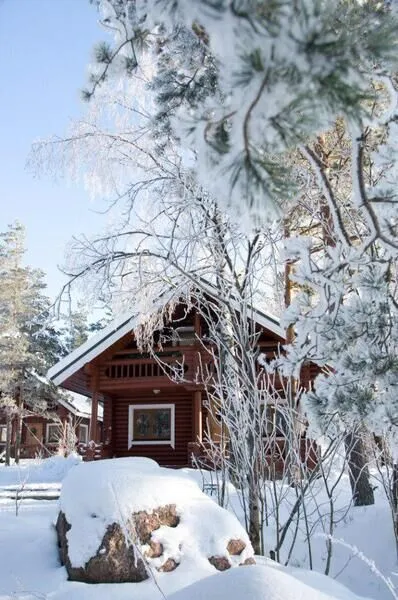 Александр-Парк, Ленинградская область: фото 5