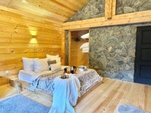 Домик 2-местный 1-комнатный (Эко №1)