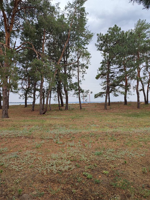 Фото из отзыва от 19.07.2025