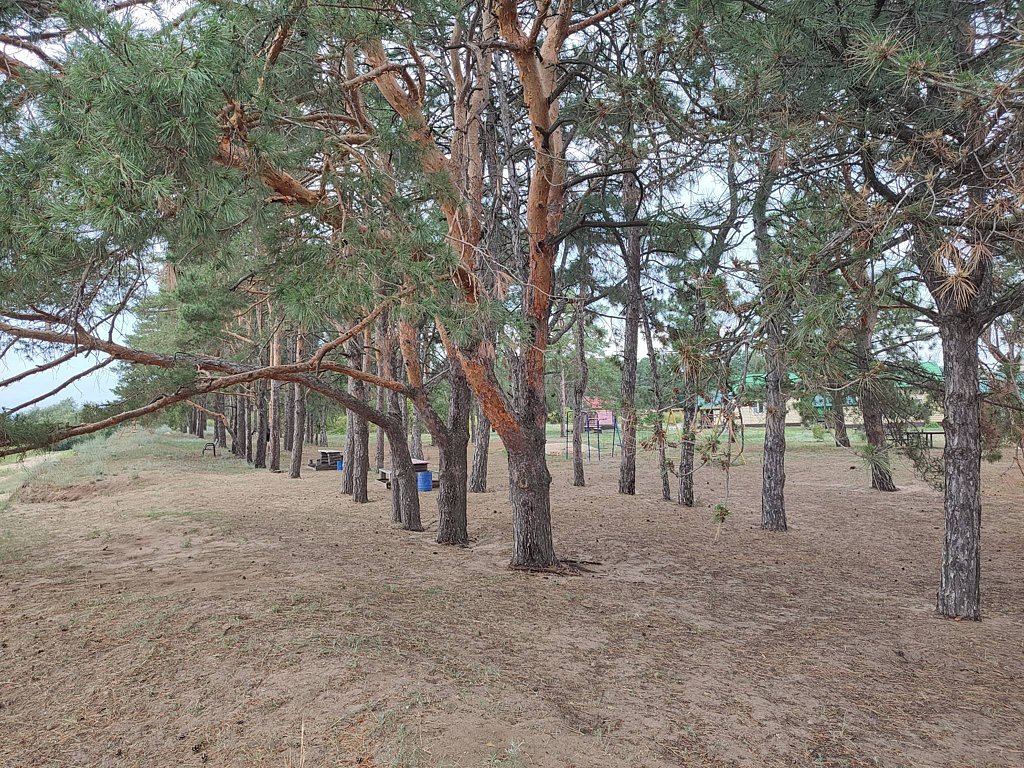 Фото из отзыва от 19.07.2025