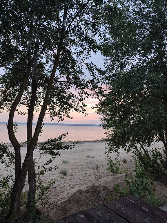 Фото из отзыва от 19.07.2025