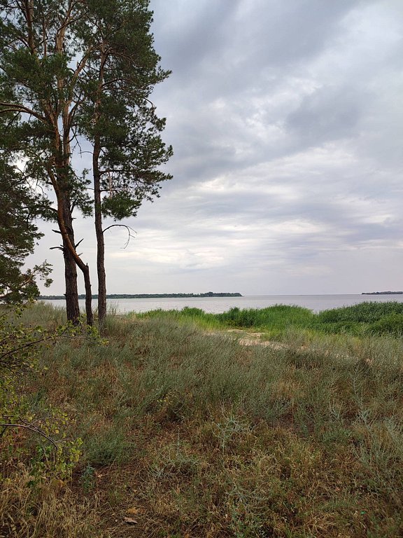 Фото из отзыва от 19.07.2025