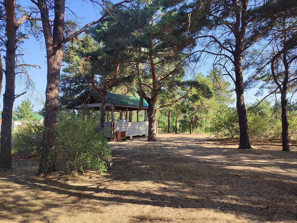 Фото из отзыва от 19.07.2025