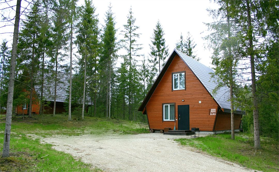 Любогорье, Новгородская область: фото 3