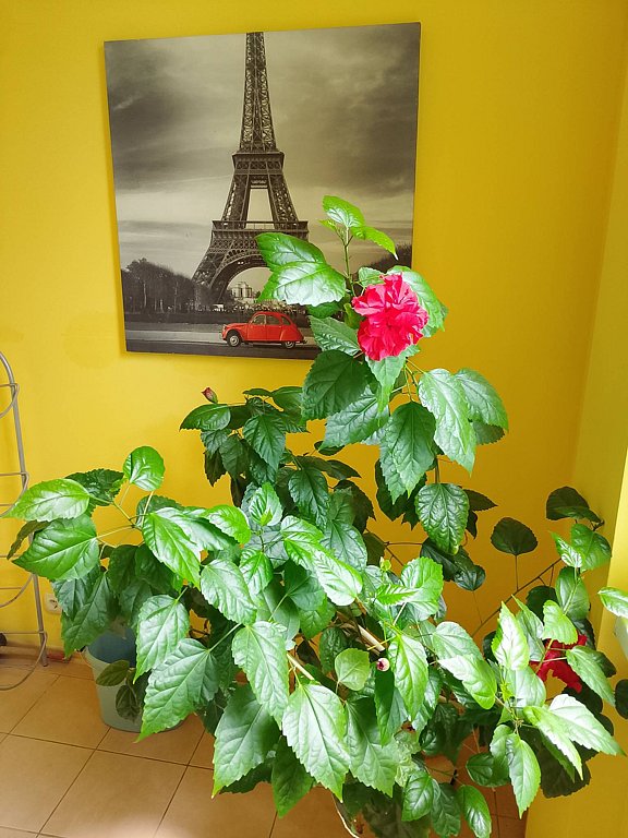 Фото из отзыва от 17.07.2025