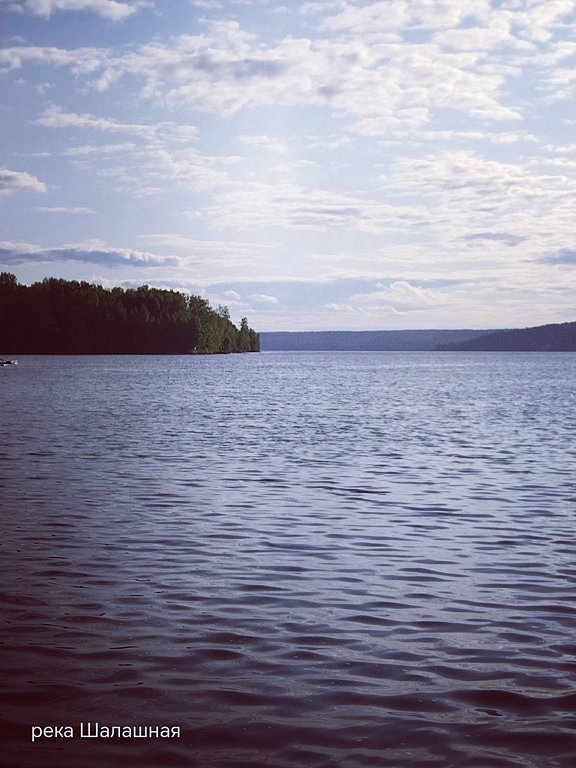 Фото из отзыва от 14.07.2025