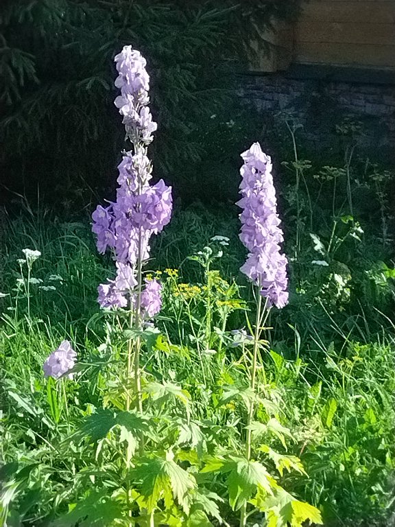 Фото из отзыва от 14.07.2025