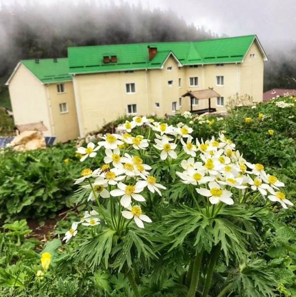Седьмое небо, Республика Адыгея: фото 4