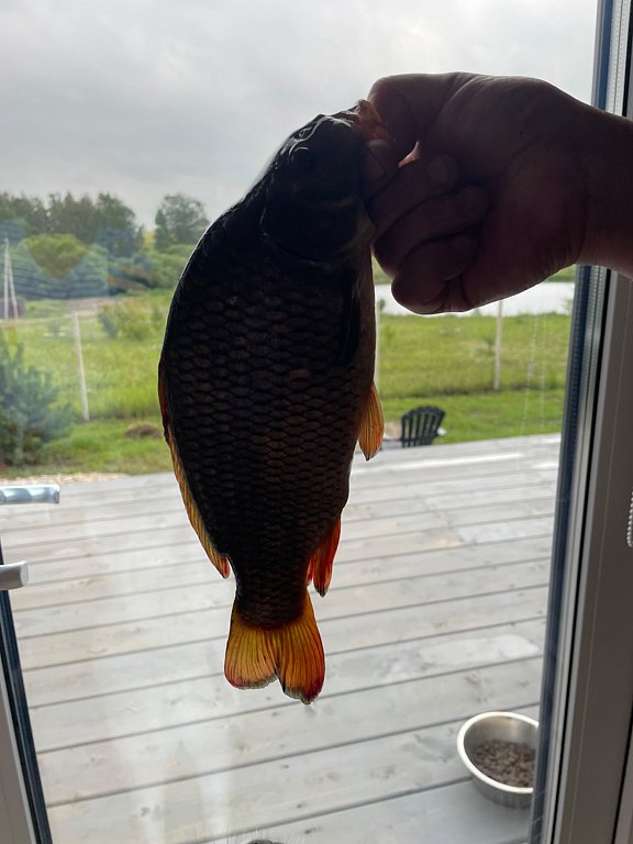 Фото из отзыва от 19.07.2025