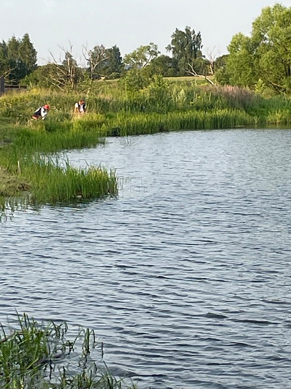 Фото из отзыва от 19.07.2025