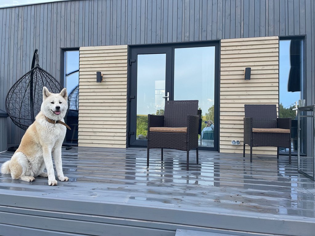 Фото из отзыва от 19.07.2025