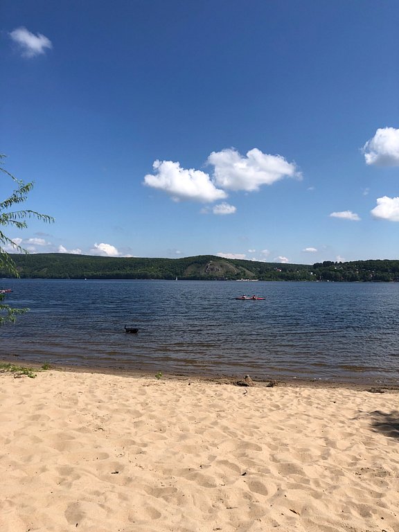 Фото из отзыва от 22.07.2025